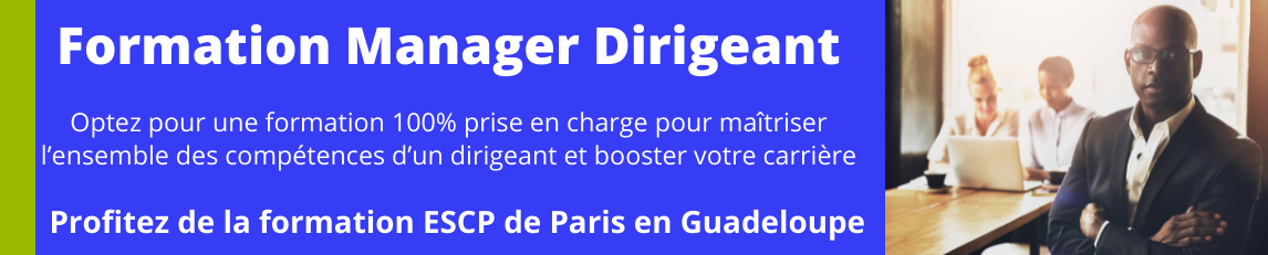 Manager Dirigeant