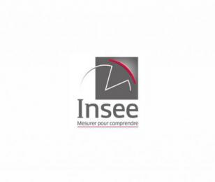 petit format logo INSEE
