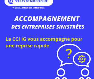 Entreprises sinistrées