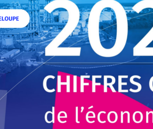 chiffres clés 2021