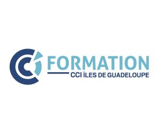 logo cci formation