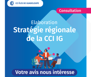 visuel stratégie régionale