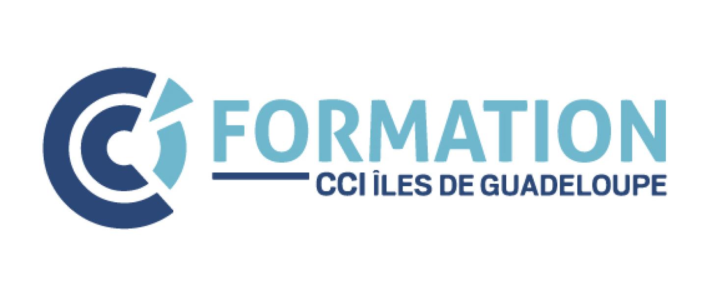 logo cci formation